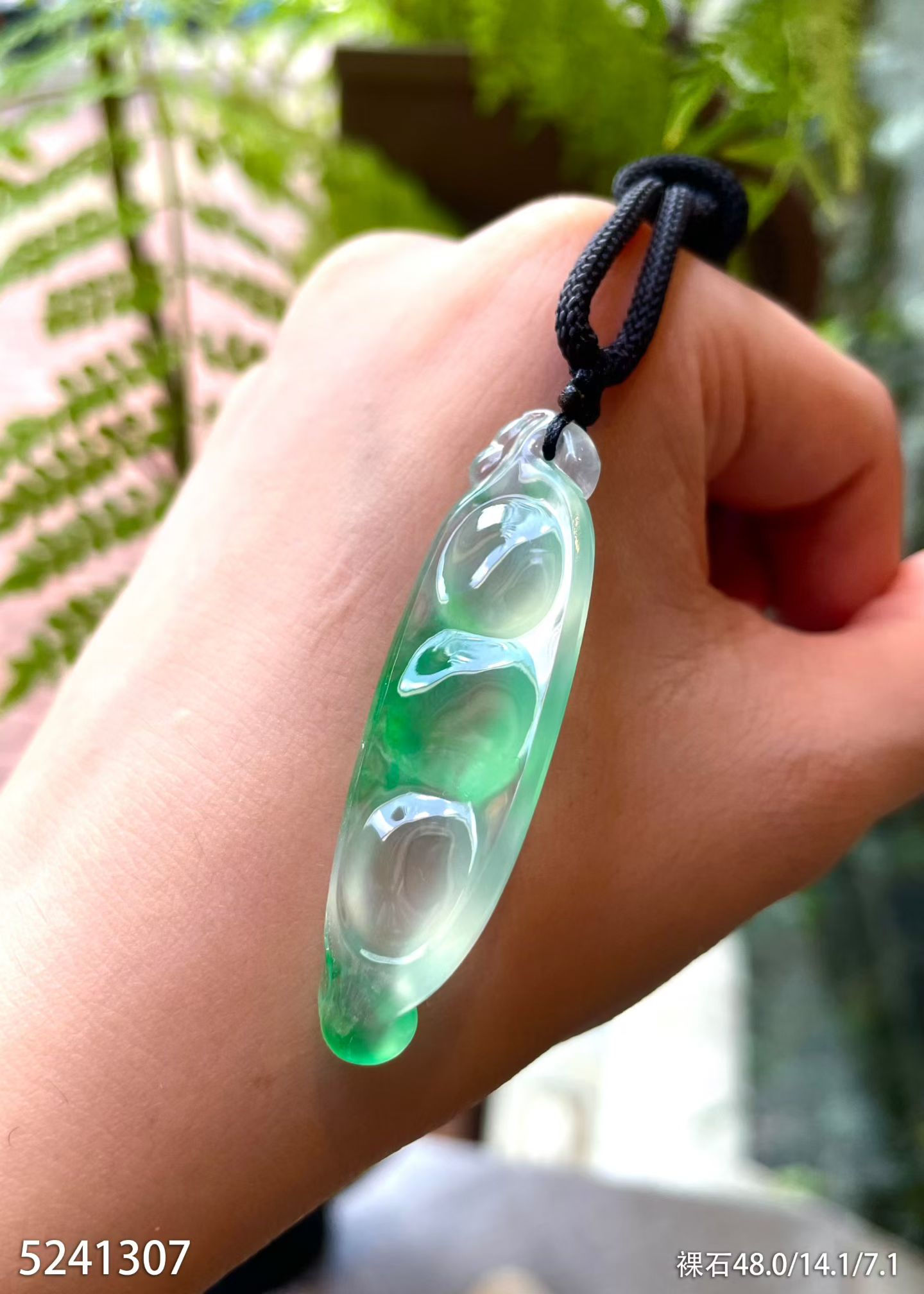 Glassy Jadeite Fu Dou (The Chinese Four-Season Bean, 23g) view 1