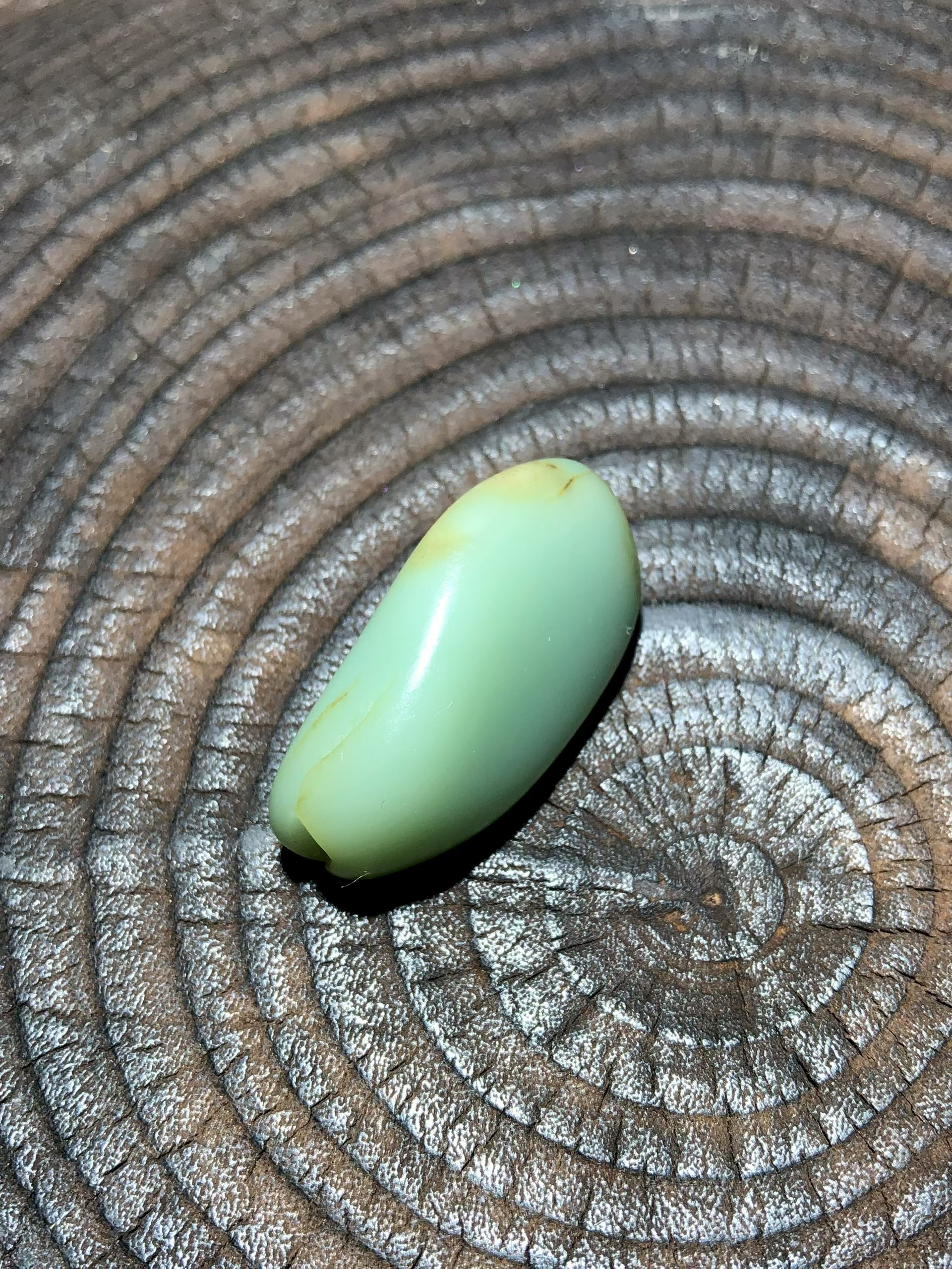 Collector's Lonely Stone – Rare Sha Zao Qing (19g) view 4