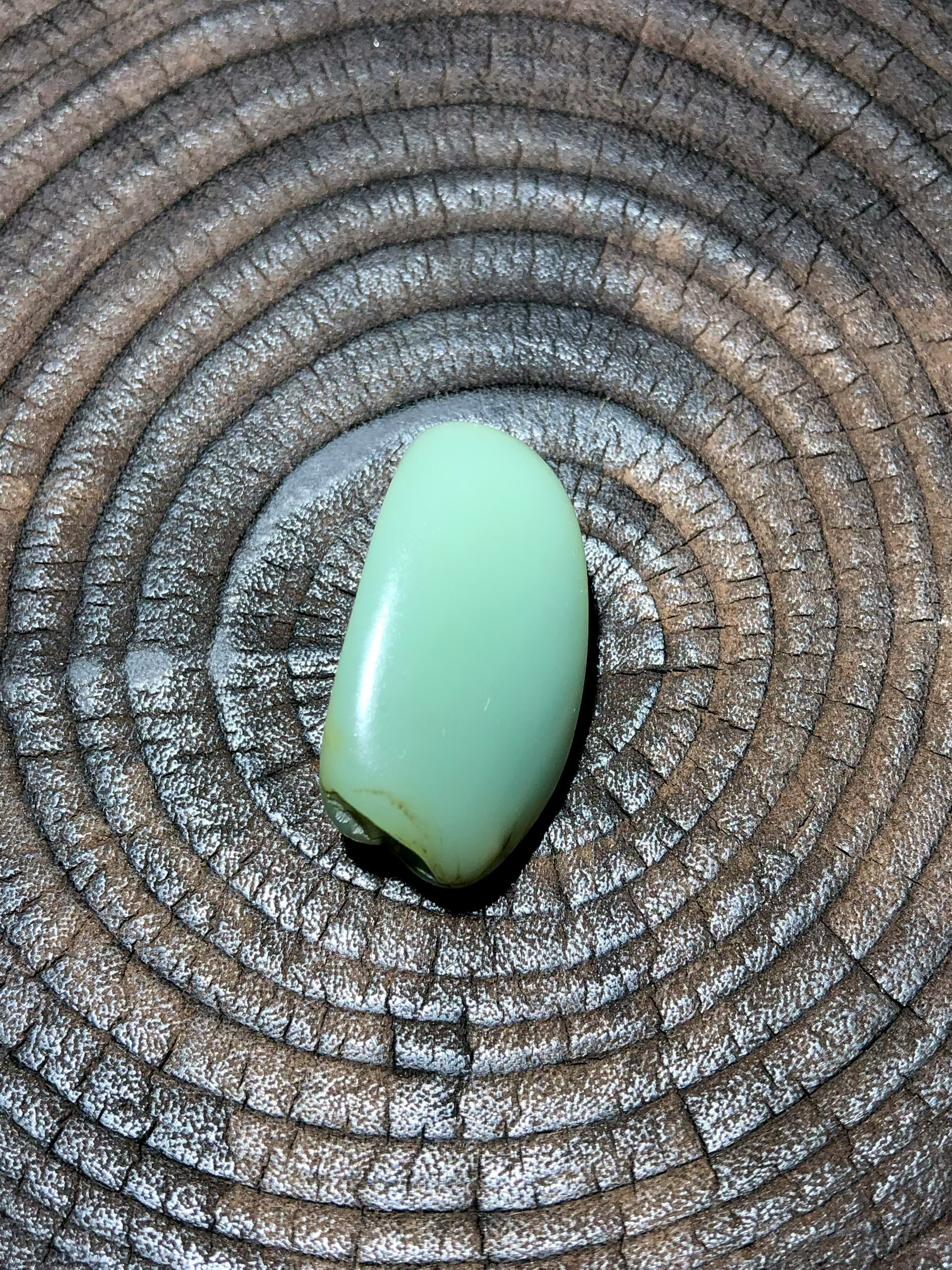 Collector's Lonely Stone – Rare Sha Zao Qing (19g) view 5